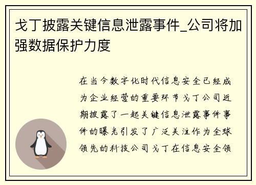 戈丁披露关键信息泄露事件_公司将加强数据保护力度