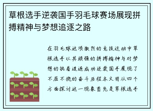 草根选手逆袭国手羽毛球赛场展现拼搏精神与梦想追逐之路