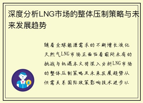 深度分析LNG市场的整体压制策略与未来发展趋势