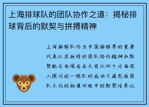 上海排球队的团队协作之道：揭秘排球背后的默契与拼搏精神